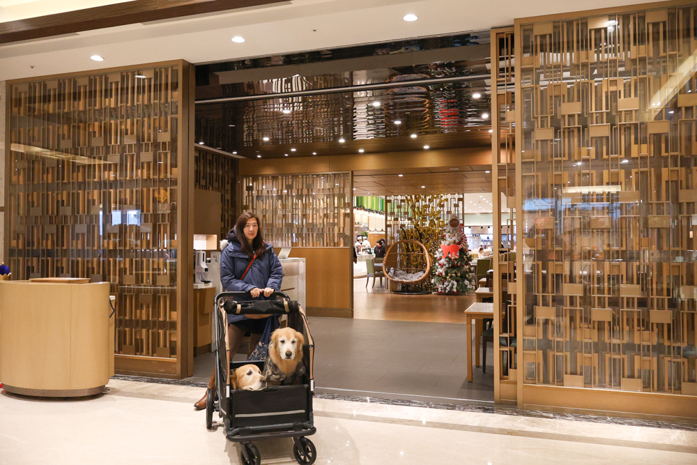 台北寵物友善自助餐推薦|台北六福萬怡酒店敘日全日餐廳。生食級干貝柱+香箱蟹一次滿足、寵物友善自助餐buffet - 第1張圖 台北寵物友善自助餐推薦|台北六福萬怡酒店敘日全日餐廳。生食級干貝柱+香箱蟹一次滿足、寵物友善自助餐buffet