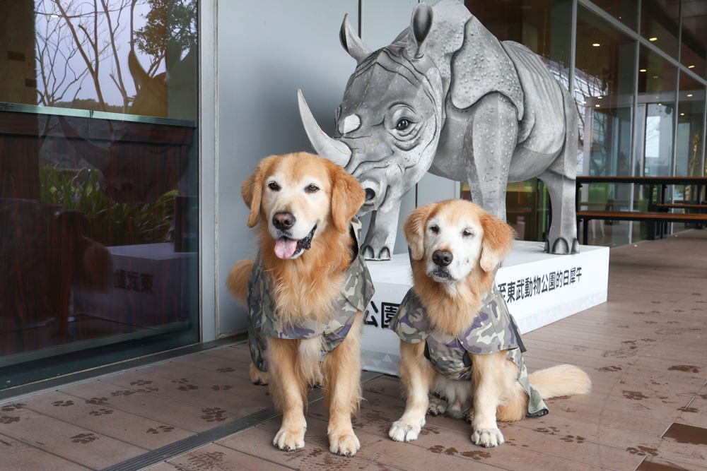 台北寵物友善自助餐推薦|台北六福萬怡酒店敘日全日餐廳。生食級干貝柱+香箱蟹一次滿足、寵物友善自助餐buffet - 第5張圖 台北寵物友善自助餐推薦|台北六福萬怡酒店敘日全日餐廳。生食級干貝柱+香箱蟹一次滿足、寵物友善自助餐buffet