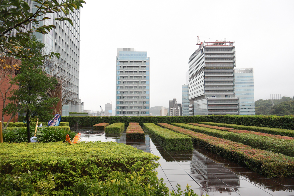 台北寵物友善自助餐推薦|台北六福萬怡酒店敘日全日餐廳。生食級干貝柱+香箱蟹一次滿足、寵物友善自助餐buffet - 第7張圖 台北寵物友善自助餐推薦|台北六福萬怡酒店敘日全日餐廳。生食級干貝柱+香箱蟹一次滿足、寵物友善自助餐buffet
