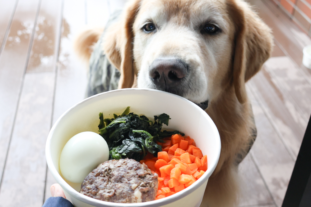 台北寵物友善自助餐推薦|台北六福萬怡酒店敘日全日餐廳。生食級干貝柱+香箱蟹一次滿足、寵物友善自助餐buffet - 第16張圖 台北寵物友善自助餐推薦|台北六福萬怡酒店敘日全日餐廳。生食級干貝柱+香箱蟹一次滿足、寵物友善自助餐buffet