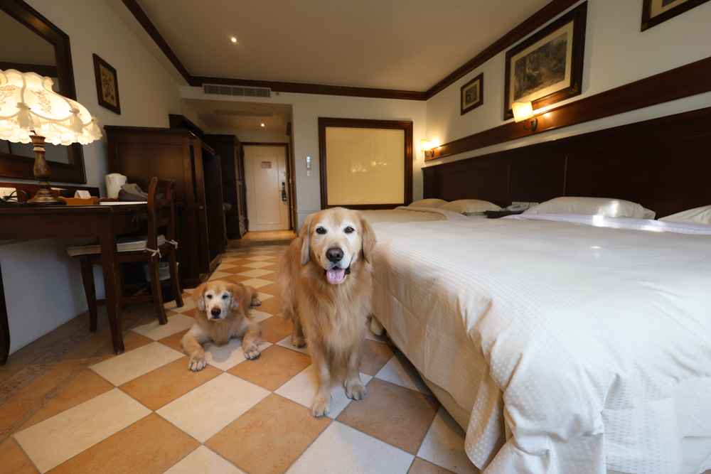 宜蘭寵物友善飯店|香格里拉冬山河渡假飯店。寵物可入住指定房型!歐風城堡飯店+美人湯+超豐盛早餐,超適合度假 - 第17張圖 宜蘭寵物友善飯店|香格里拉冬山河渡假飯店。寵物可入住指定房型!歐風城堡飯店+美人湯+超豐盛早餐,超適合度假