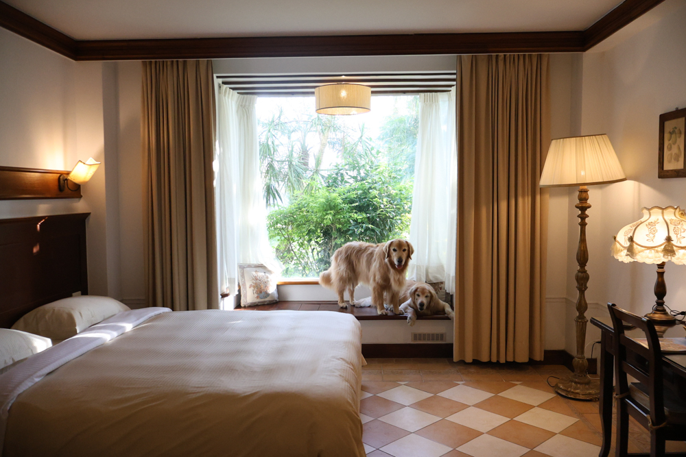 宜蘭寵物友善飯店|香格里拉冬山河渡假飯店。寵物可入住指定房型!歐風城堡飯店+美人湯+超豐盛早餐,超適合度假 - 第12張圖 宜蘭寵物友善飯店|香格里拉冬山河渡假飯店。寵物可入住指定房型!歐風城堡飯店+美人湯+超豐盛早餐,超適合度假