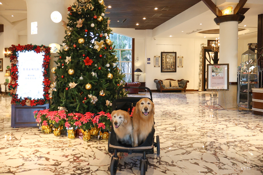 宜蘭寵物友善飯店|香格里拉冬山河渡假飯店。寵物可入住指定房型!歐風城堡飯店+美人湯+超豐盛早餐,超適合度假 - 第23張圖 宜蘭寵物友善飯店|香格里拉冬山河渡假飯店。寵物可入住指定房型!歐風城堡飯店+美人湯+超豐盛早餐,超適合度假