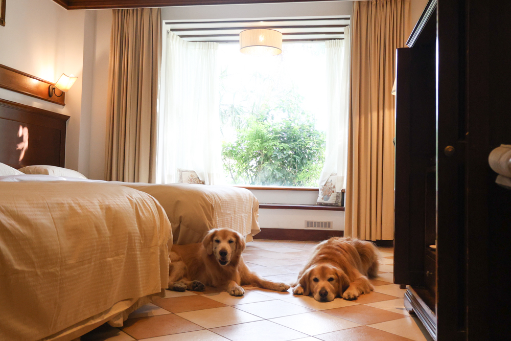 宜蘭寵物友善飯店|香格里拉冬山河渡假飯店。寵物可入住指定房型!歐風城堡飯店+美人湯+超豐盛早餐,超適合度假 - 第10張圖 宜蘭寵物友善飯店|香格里拉冬山河渡假飯店。寵物可入住指定房型!歐風城堡飯店+美人湯+超豐盛早餐,超適合度假