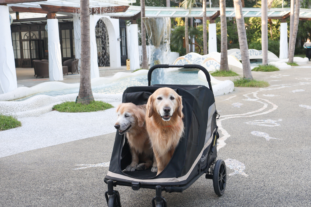 宜蘭寵物友善飯店|香格里拉冬山河渡假飯店。寵物可入住指定房型!歐風城堡飯店+美人湯+超豐盛早餐,超適合度假 - 第36張圖 宜蘭寵物友善飯店|香格里拉冬山河渡假飯店。寵物可入住指定房型!歐風城堡飯店+美人湯+超豐盛早餐,超適合度假