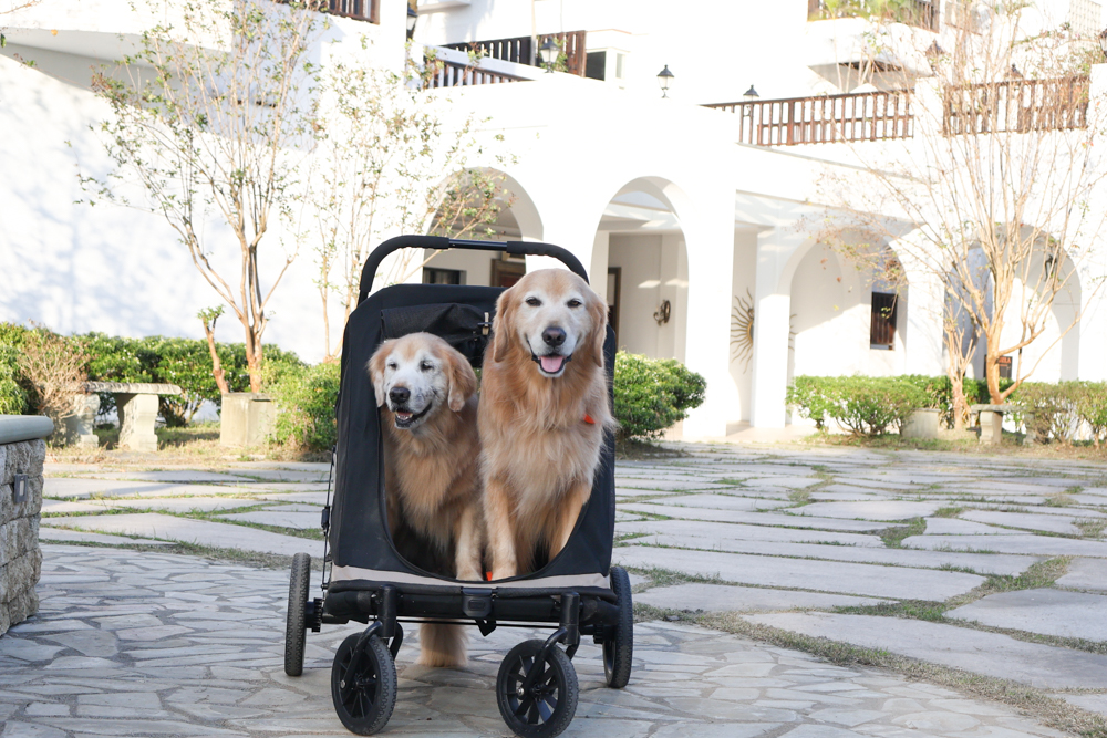 宜蘭寵物友善飯店|香格里拉冬山河渡假飯店。寵物可入住指定房型!歐風城堡飯店+美人湯+超豐盛早餐,超適合度假 - 第37張圖 宜蘭寵物友善飯店|香格里拉冬山河渡假飯店。寵物可入住指定房型!歐風城堡飯店+美人湯+超豐盛早餐,超適合度假