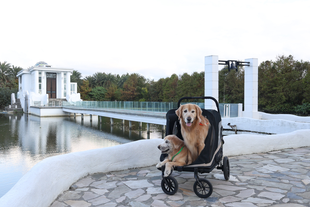 宜蘭寵物友善飯店|香格里拉冬山河渡假飯店。寵物可入住指定房型!歐風城堡飯店+美人湯+超豐盛早餐,超適合度假 - 第44張圖 宜蘭寵物友善飯店|香格里拉冬山河渡假飯店。寵物可入住指定房型!歐風城堡飯店+美人湯+超豐盛早餐,超適合度假