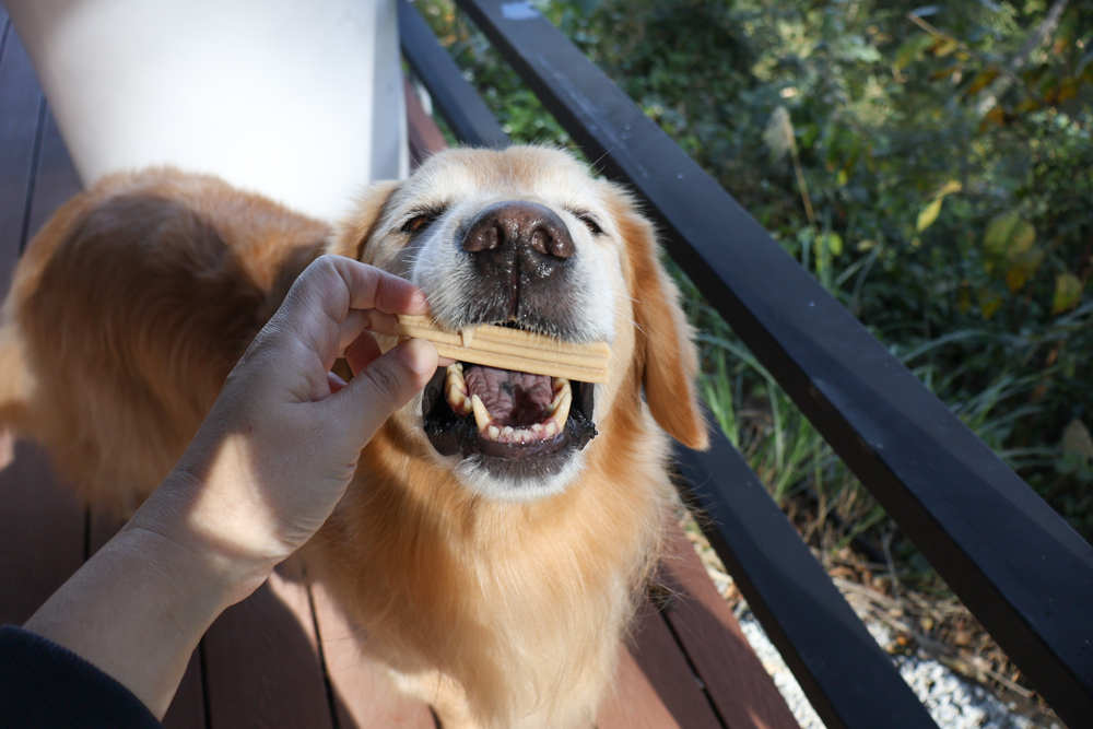 新竹尖石｜虹夕尖石 Villa 免搭帳露營區 ｜雲海山景、小木屋、太空艙、焚火爐夜景、寵物友善
