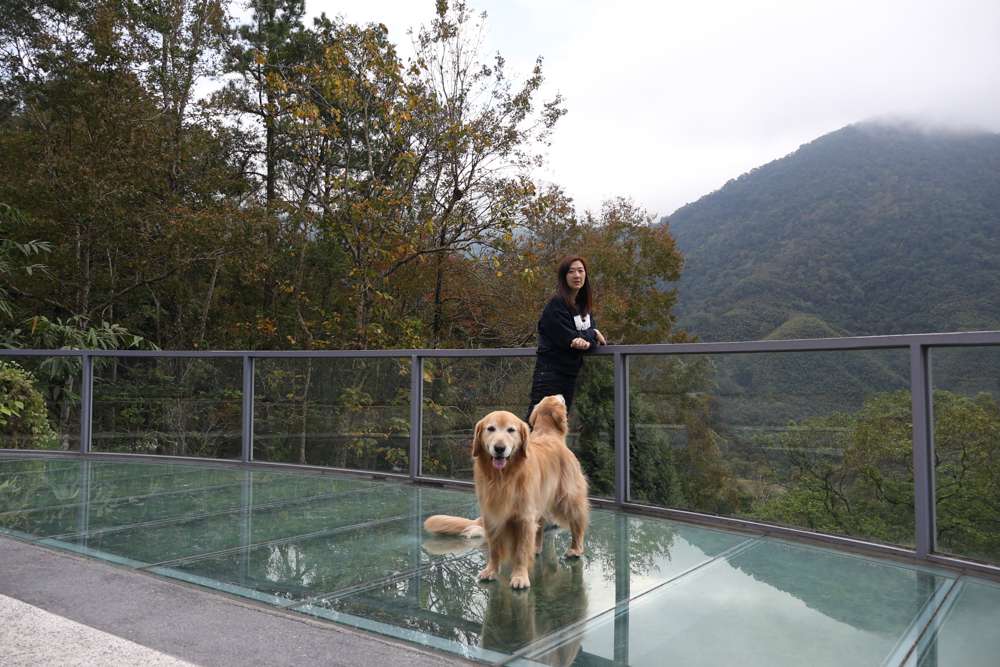 新竹尖石景點｜日見森嵐。山景第一排玻璃屋咖啡廳、寵物友善餐廳，可帶狗狗一起吃鍋放空、欣賞絕美山嵐美景！