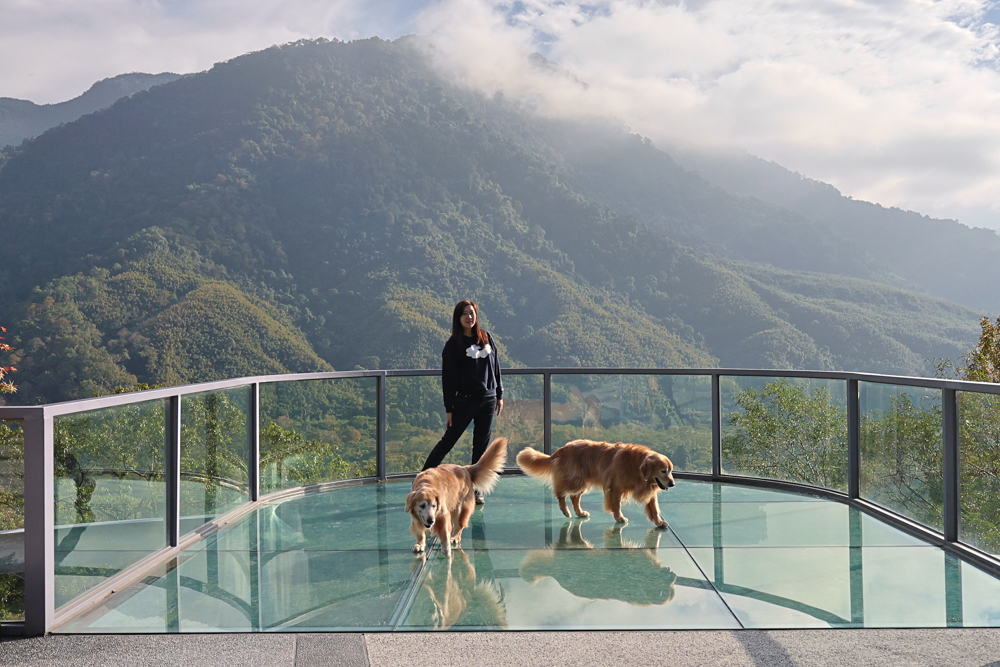 新竹尖石景點｜日見森嵐。山景第一排玻璃屋咖啡廳、寵物友善餐廳，可帶狗狗一起吃鍋放空、欣賞絕美山嵐美景！