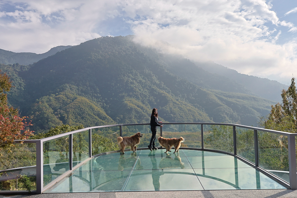 新竹尖石景點｜日見森嵐。山景第一排玻璃屋咖啡廳、寵物友善餐廳，可帶狗狗一起吃鍋放空、欣賞絕美山嵐美景！