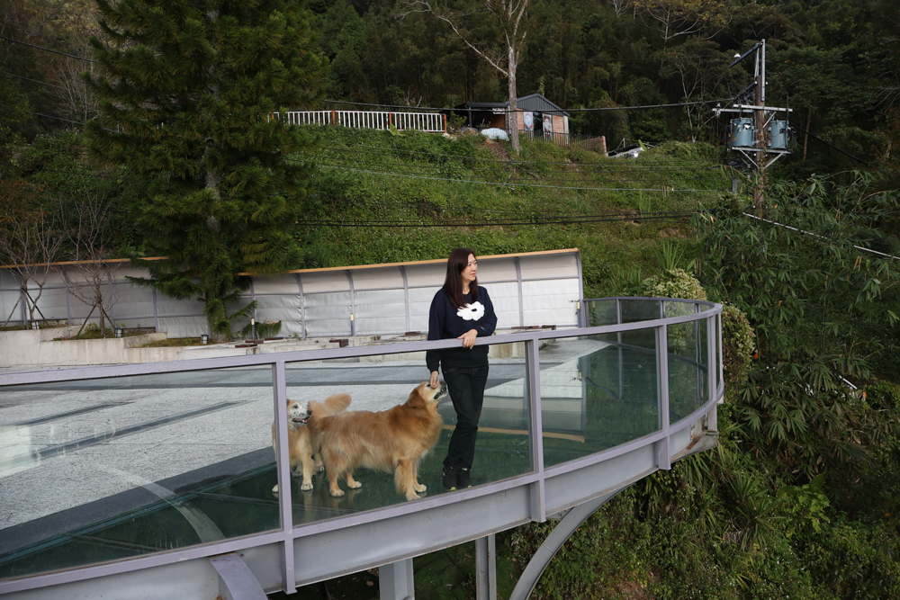 新竹尖石景點｜日見森嵐。山景第一排玻璃屋咖啡廳、寵物友善餐廳，可帶狗狗一起吃鍋放空、欣賞絕美山嵐美景！