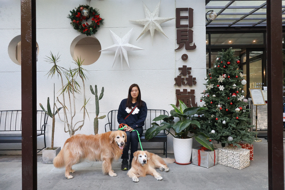 新竹尖石景點｜日見森嵐。山景第一排玻璃屋咖啡廳、寵物友善餐廳，可帶狗狗一起吃鍋放空、欣賞絕美山嵐美景！