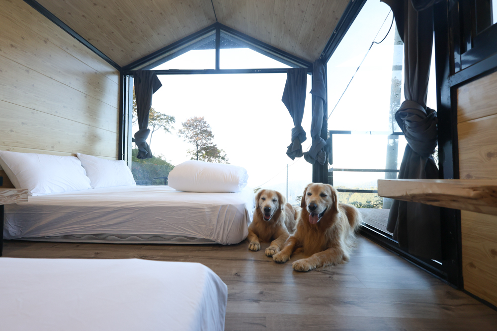 新竹尖石｜虹夕尖石 Villa 免搭帳露營區 ｜雲海山景、小木屋、太空艙、焚火爐夜景、寵物友善