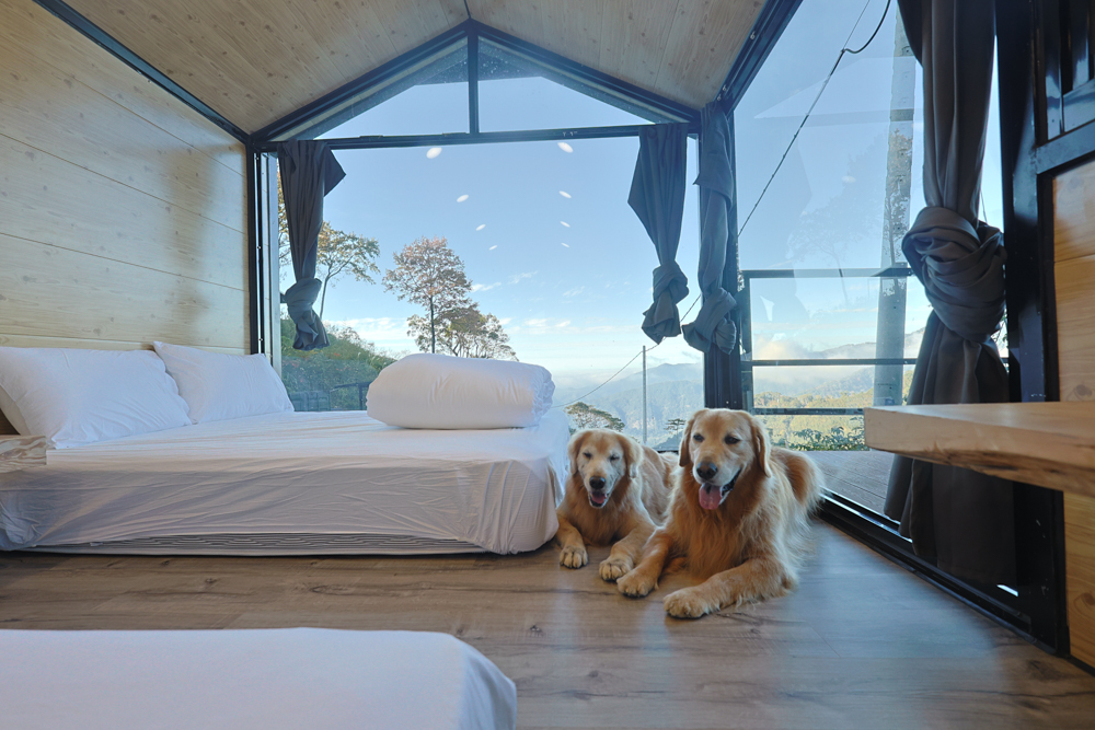 新竹尖石｜虹夕尖石 Villa 免搭帳露營區 ｜雲海山景、小木屋、太空艙、焚火爐夜景、寵物友善