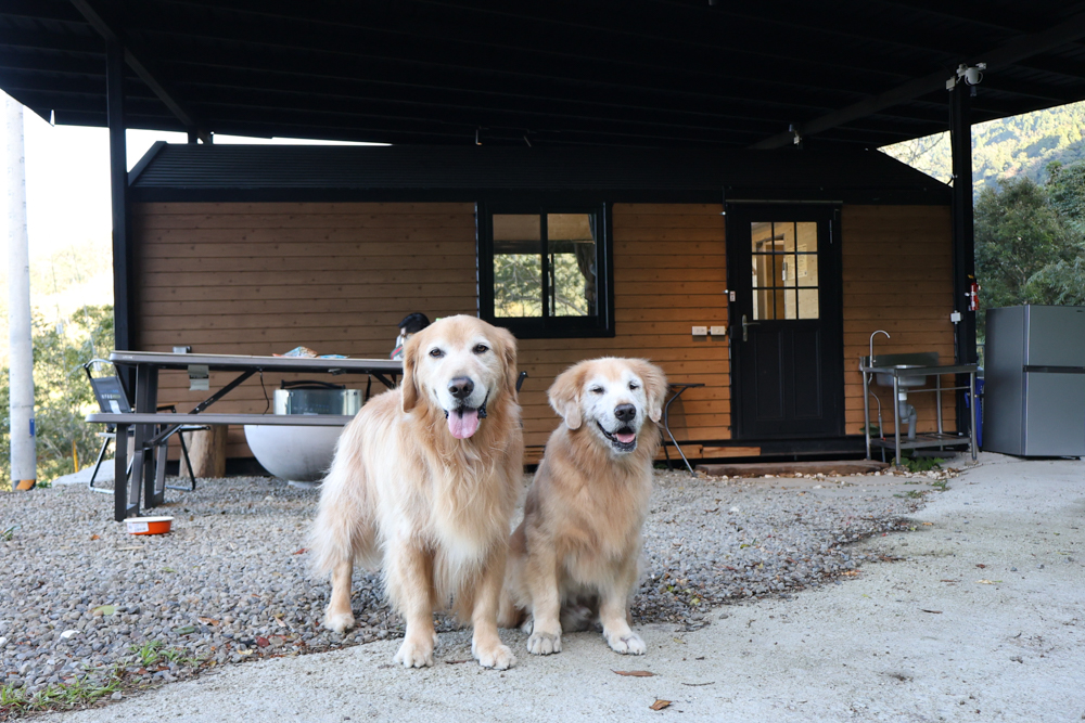 新竹尖石｜虹夕尖石 Villa 免搭帳露營區 ｜雲海山景、小木屋、太空艙、焚火爐夜景、寵物友善