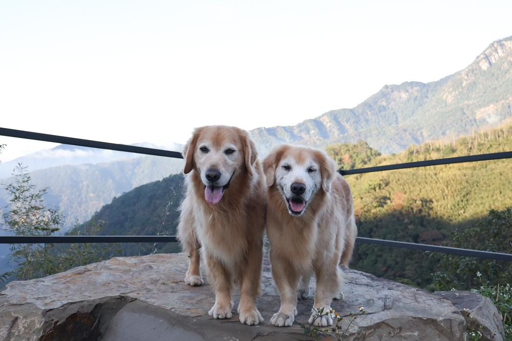 新竹尖石｜虹夕尖石 Villa 免搭帳露營區 ｜雲海山景、小木屋、太空艙、焚火爐夜景、寵物友善