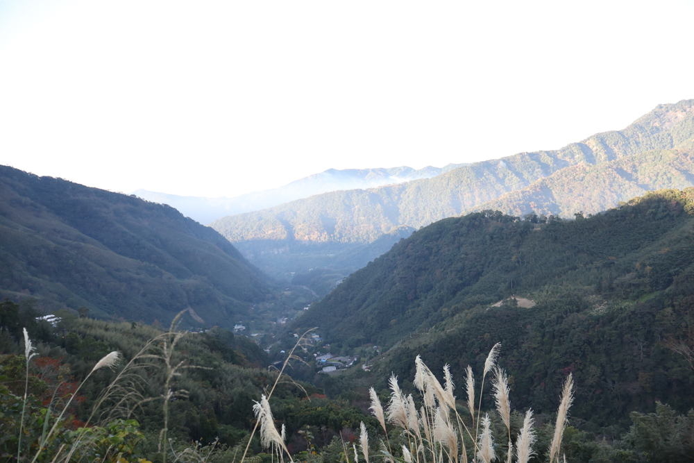 新竹尖石｜虹夕尖石 Villa 免搭帳露營區 ｜雲海山景、小木屋、太空艙、焚火爐夜景、寵物友善