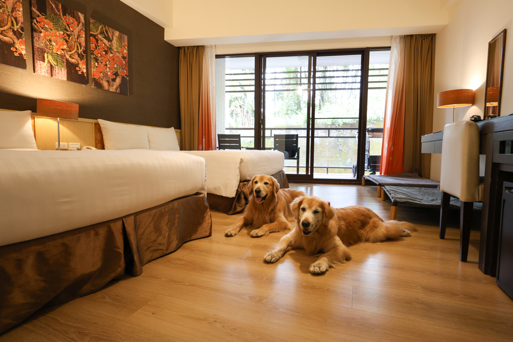 南投日月潭寵物友善住宿｜力麗哲園飯店－月潭館。伊達邵碼頭商圈走路就到、家庭房寬敞好住