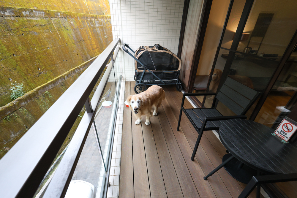 南投日月潭寵物友善住宿|力麗哲園飯店-月潭館。伊達邵碼頭商圈走路就到、家庭房寬敞好住 - 第26張圖 南投日月潭寵物友善住宿|力麗哲園飯店-月潭館。伊達邵碼頭商圈走路就到、家庭房寬敞好住