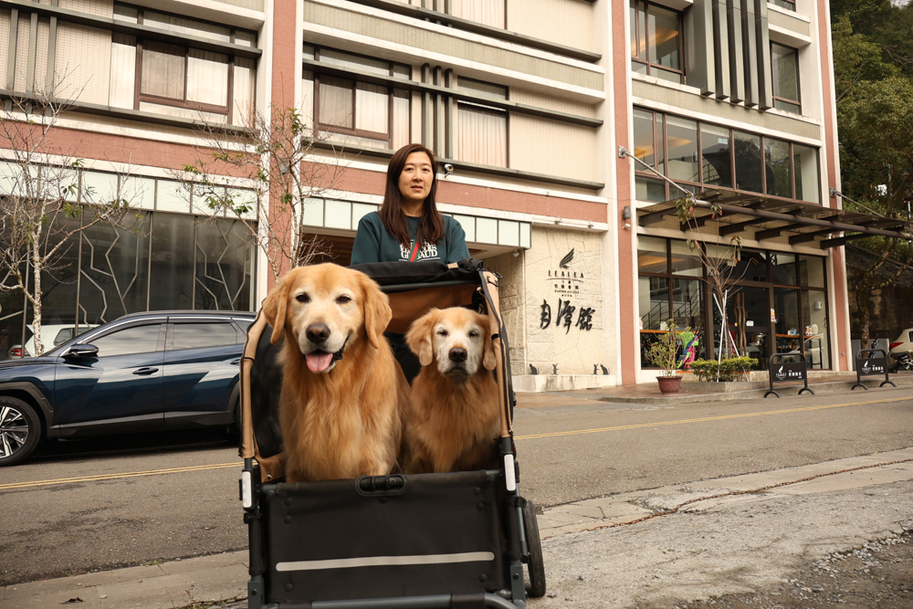 南投日月潭寵物友善住宿|力麗哲園飯店-月潭館。伊達邵碼頭商圈走路就到、家庭房寬敞好住 - 第4張圖 南投日月潭寵物友善住宿|力麗哲園飯店-月潭館。伊達邵碼頭商圈走路就到、家庭房寬敞好住