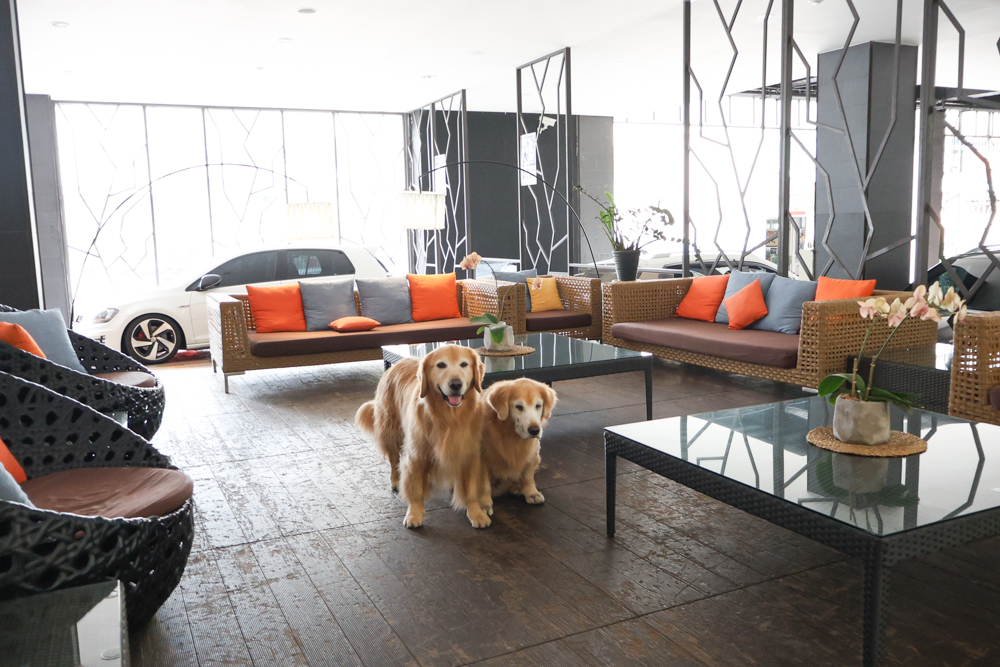 南投日月潭寵物友善住宿|力麗哲園飯店-月潭館。伊達邵碼頭商圈走路就到、家庭房寬敞好住 - 第2張圖 南投日月潭寵物友善住宿|力麗哲園飯店-月潭館。伊達邵碼頭商圈走路就到、家庭房寬敞好住