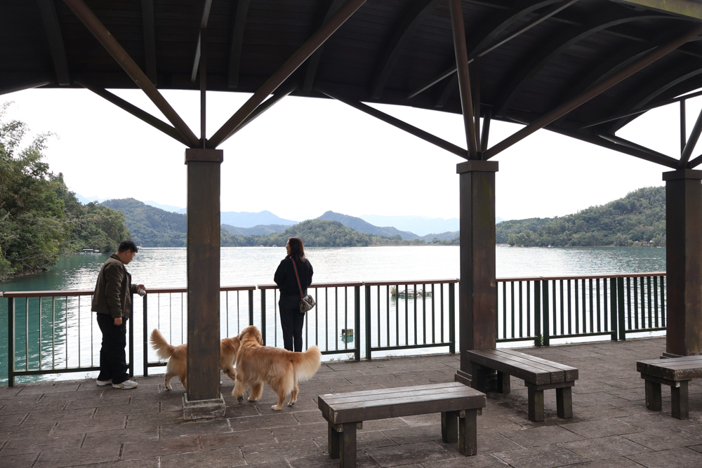 南投日月潭寵物友善住宿|力麗哲園飯店-月潭館。伊達邵碼頭商圈走路就到、家庭房寬敞好住 - 第56張圖 南投日月潭寵物友善住宿|力麗哲園飯店-月潭館。伊達邵碼頭商圈走路就到、家庭房寬敞好住