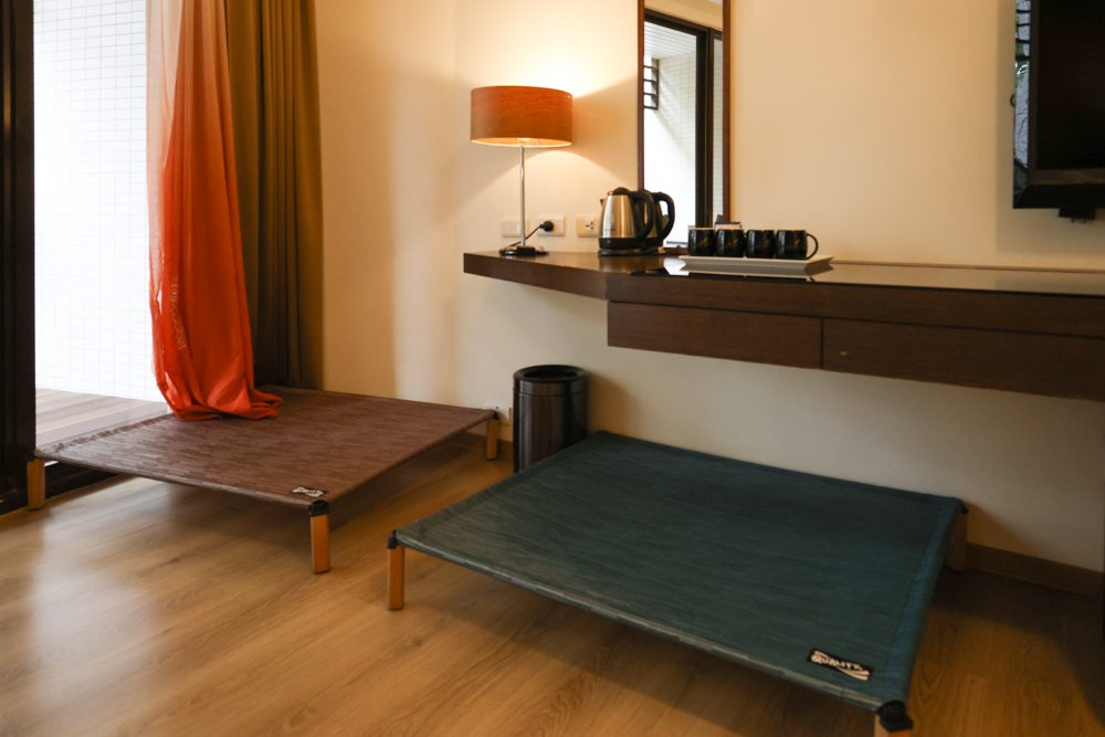 南投日月潭寵物友善住宿|力麗哲園飯店-月潭館。伊達邵碼頭商圈走路就到、家庭房寬敞好住 - 第15張圖 南投日月潭寵物友善住宿|力麗哲園飯店-月潭館。伊達邵碼頭商圈走路就到、家庭房寬敞好住