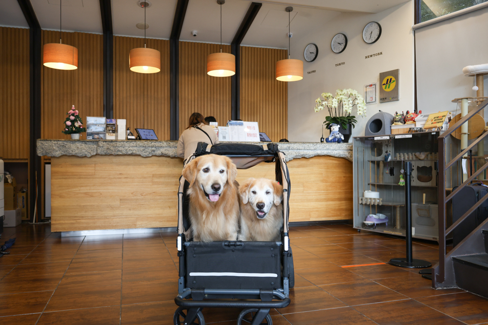 南投日月潭寵物友善住宿|力麗哲園飯店-月潭館。伊達邵碼頭商圈走路就到、家庭房寬敞好住 - 第57張圖 南投日月潭寵物友善住宿|力麗哲園飯店-月潭館。伊達邵碼頭商圈走路就到、家庭房寬敞好住