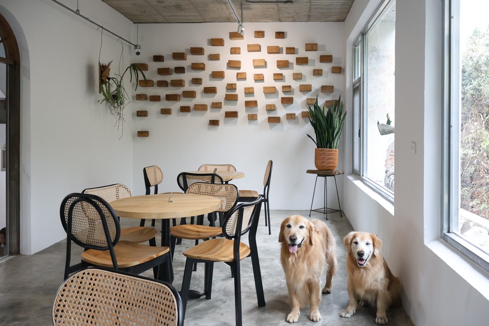 大白咖啡 DABAI CAFE|南投魚池山景玻璃屋咖啡廳、寵物友善餐廳、山景第一排、 帶毛孩一起看山喝咖啡 - 第14張圖 大白咖啡 DABAI CAFE|南投魚池山景玻璃屋咖啡廳、寵物友善餐廳、山景第一排、 帶毛孩一起看山喝咖啡