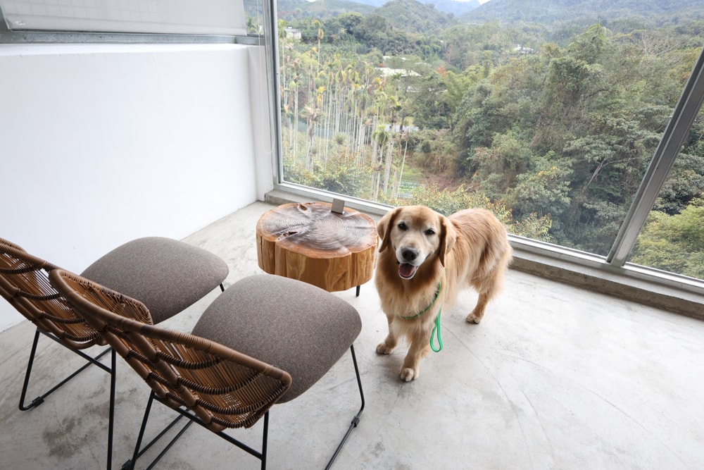 大白咖啡 DABAI CAFE|南投魚池山景玻璃屋咖啡廳、寵物友善餐廳、山景第一排、 帶毛孩一起看山喝咖啡 - 第19張圖 大白咖啡 DABAI CAFE|南投魚池山景玻璃屋咖啡廳、寵物友善餐廳、山景第一排、 帶毛孩一起看山喝咖啡