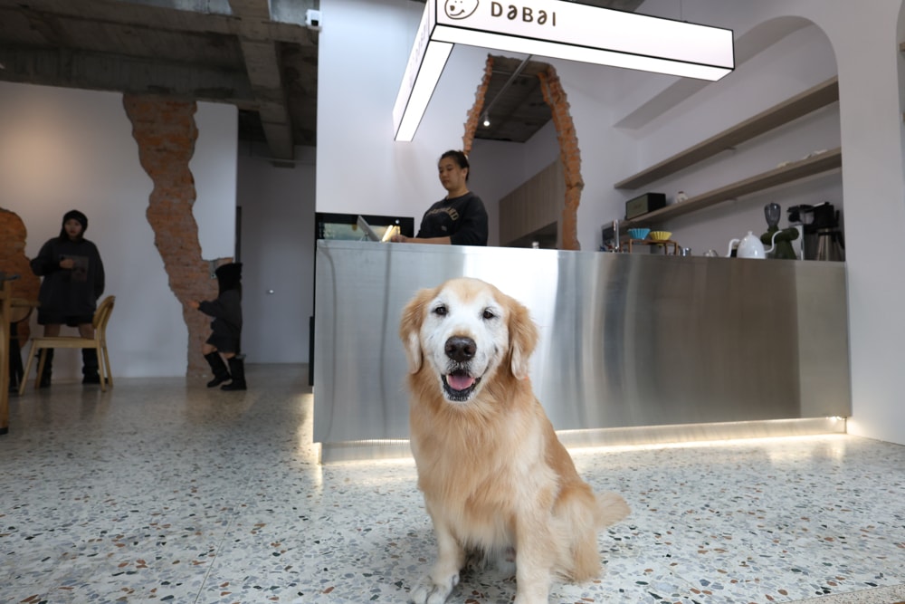 大白咖啡 DABAI CAFE|南投魚池山景玻璃屋咖啡廳、寵物友善餐廳、山景第一排、 帶毛孩一起看山喝咖啡 - 第11張圖 大白咖啡 DABAI CAFE|南投魚池山景玻璃屋咖啡廳、寵物友善餐廳、山景第一排、 帶毛孩一起看山喝咖啡