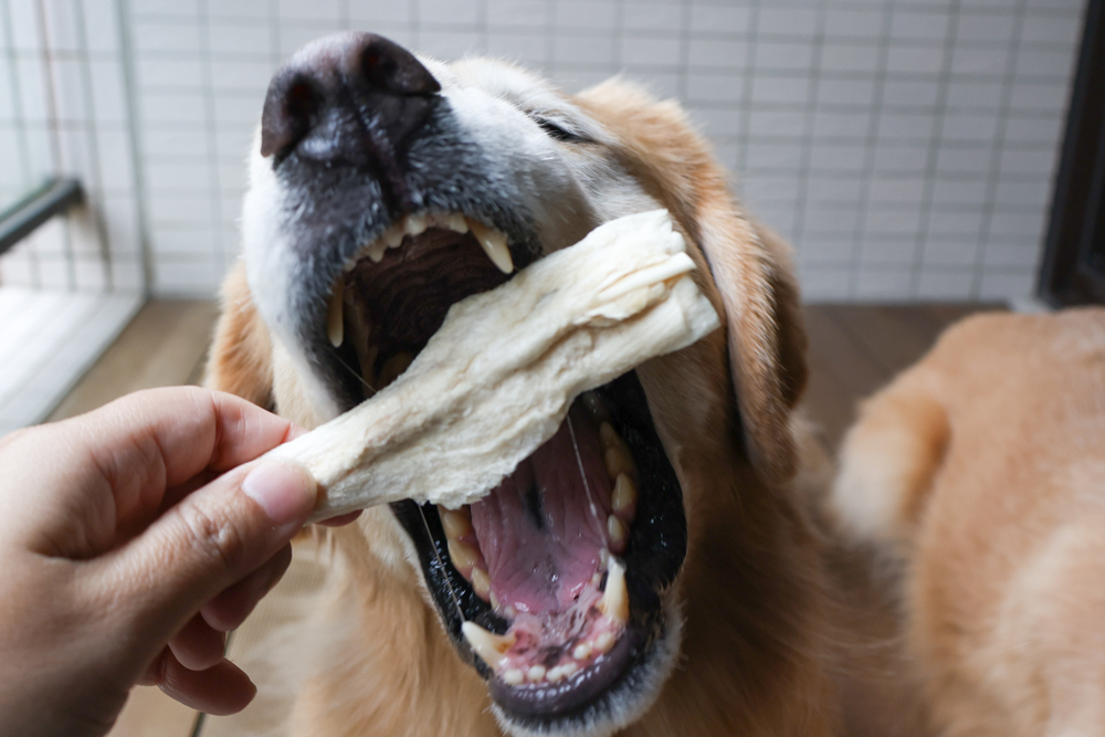 毛怪樂園凍乾開箱｜豹好餵凍乾保健品。豹骨溜（關節保健）、豹毛肌（皮膚保健）、豹放鬆（情緒放鬆、泌尿保健）＋毛怪啃咬犬凍乾（牛筋、牛鞭）