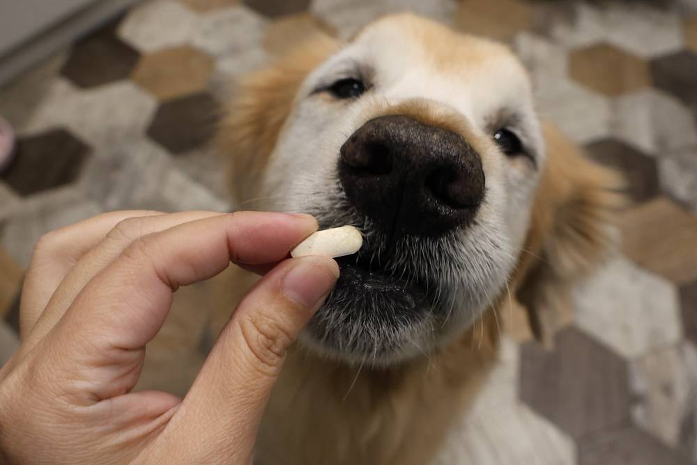毛怪樂園凍乾開箱｜豹好餵凍乾保健品。豹骨溜（關節保健）、豹毛肌（皮膚保健）、豹放鬆（情緒放鬆、泌尿保健）＋毛怪啃咬犬凍乾（牛筋、牛鞭）