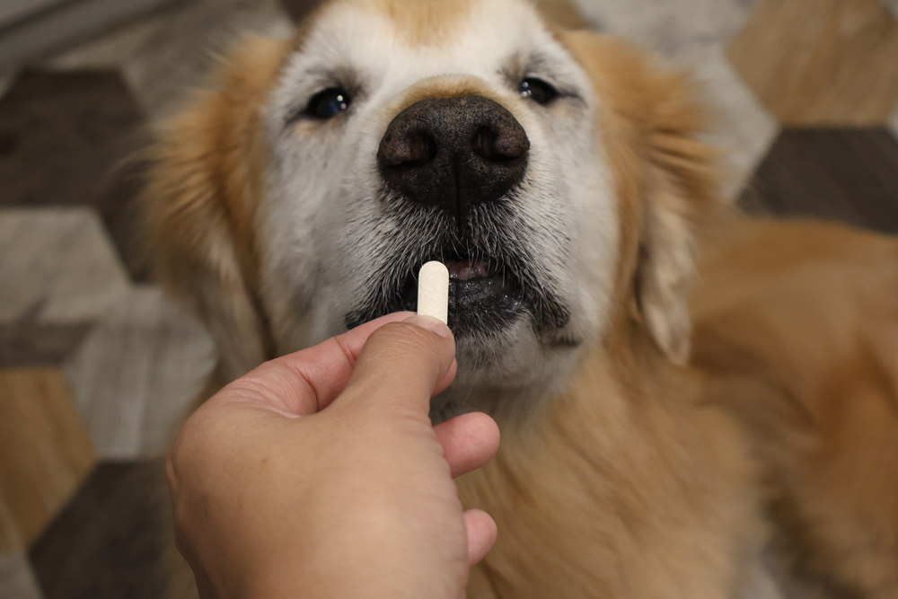 毛怪樂園凍乾開箱｜豹好餵凍乾保健品。豹骨溜（關節保健）、豹毛肌（皮膚保健）、豹放鬆（情緒放鬆、泌尿保健）＋毛怪啃咬犬凍乾（牛筋、牛鞭）