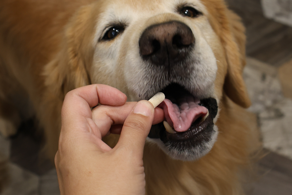毛怪樂園凍乾開箱｜豹好餵凍乾保健品。豹骨溜（關節保健）、豹毛肌（皮膚保健）、豹放鬆（情緒放鬆、泌尿保健）＋毛怪啃咬犬凍乾（牛筋、牛鞭）