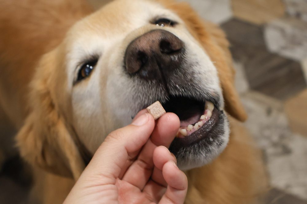 毛怪樂園凍乾開箱｜豹好餵凍乾保健品。豹骨溜（關節保健）、豹毛肌（皮膚保健）、豹放鬆（情緒放鬆、泌尿保健）＋毛怪啃咬犬凍乾（牛筋、牛鞭）