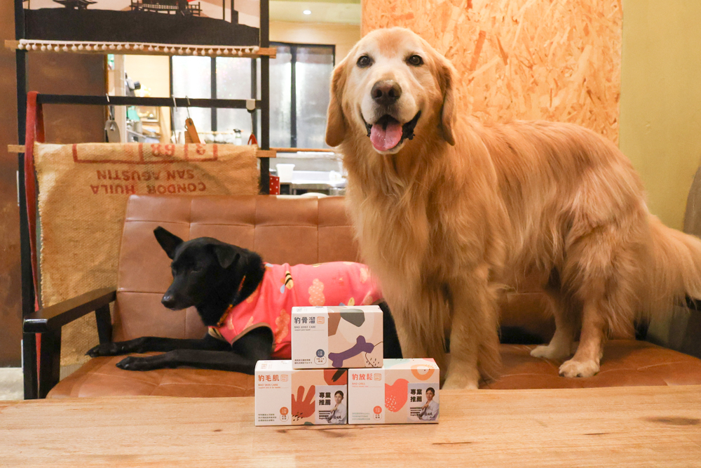 毛怪樂園凍乾開箱｜豹好餵凍乾保健品。豹骨溜（關節保健）、豹毛肌（皮膚保健）、豹放鬆（情緒放鬆、泌尿保健）＋毛怪啃咬犬凍乾（牛筋、牛鞭）