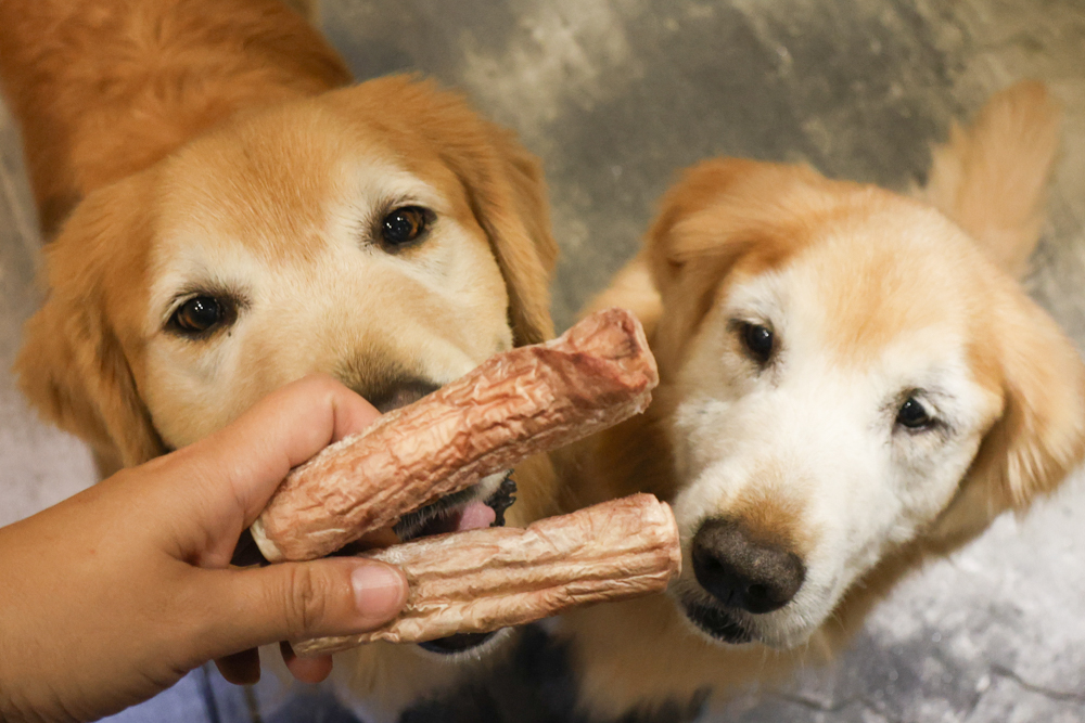 毛怪樂園凍乾開箱｜豹好餵凍乾保健品。豹骨溜（關節保健）、豹毛肌（皮膚保健）、豹放鬆（情緒放鬆、泌尿保健）＋毛怪啃咬犬凍乾（牛筋、牛鞭）
