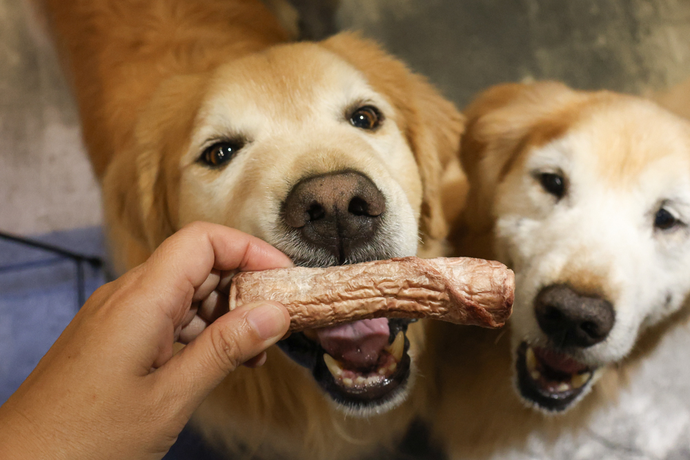 毛怪樂園凍乾開箱｜豹好餵凍乾保健品。豹骨溜（關節保健）、豹毛肌（皮膚保健）、豹放鬆（情緒放鬆、泌尿保健）＋毛怪啃咬犬凍乾（牛筋、牛鞭）