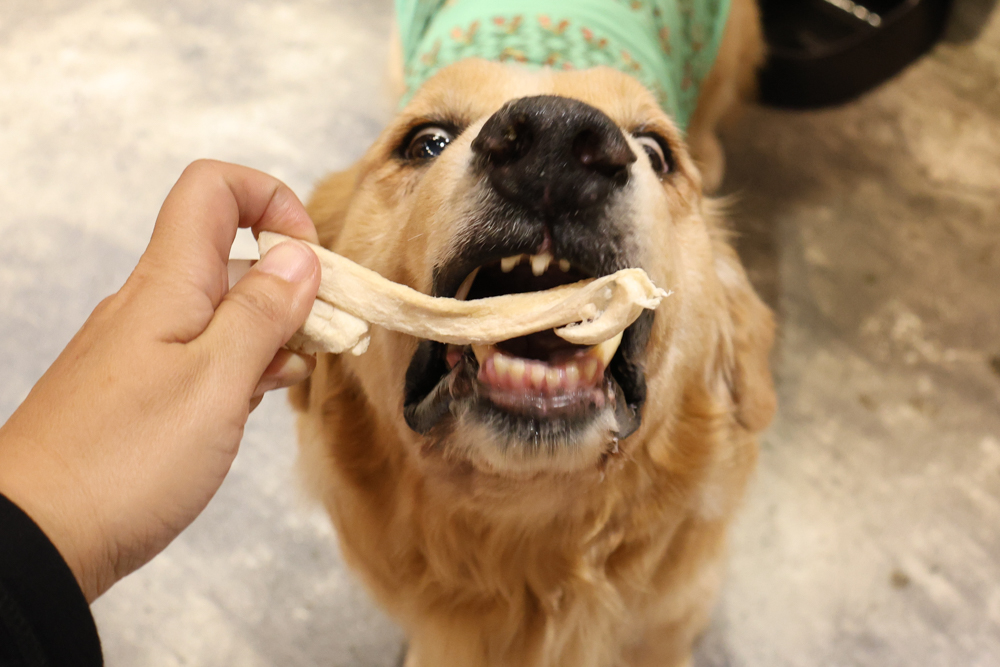 毛怪樂園凍乾開箱｜豹好餵凍乾保健品。豹骨溜（關節保健）、豹毛肌（皮膚保健）、豹放鬆（情緒放鬆、泌尿保健）＋毛怪啃咬犬凍乾（牛筋、牛鞭）