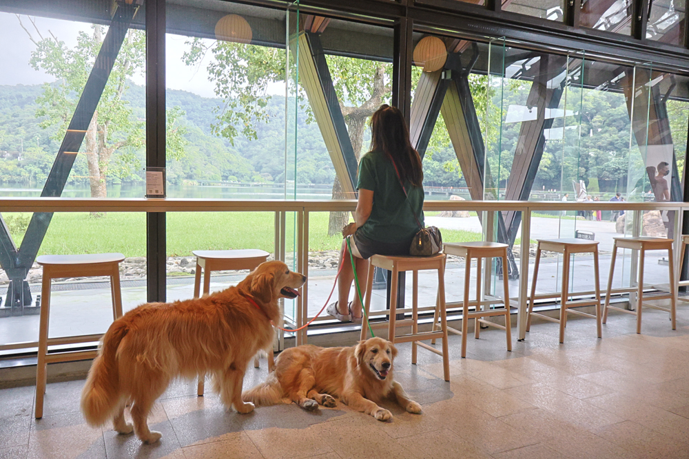 宜蘭礁溪咖啡廳推薦｜Herbelle Tea 湖畔茶屋。龍潭湖玻璃屋湖景第一排，寵物友善可帶毛小孩