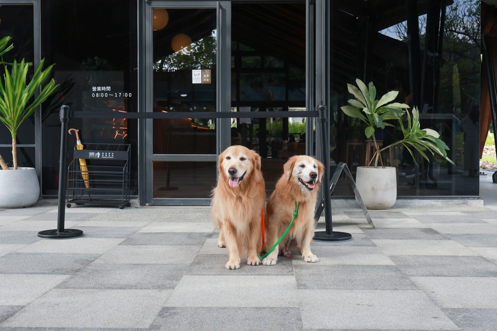 宜蘭礁溪咖啡廳推薦｜Herbelle Tea 湖畔茶屋。龍潭湖玻璃屋湖景第一排，寵物友善可帶毛小孩