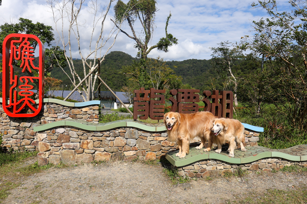 宜蘭礁溪咖啡廳推薦｜Herbelle Tea 湖畔茶屋。龍潭湖玻璃屋湖景第一排，寵物友善可帶毛小孩