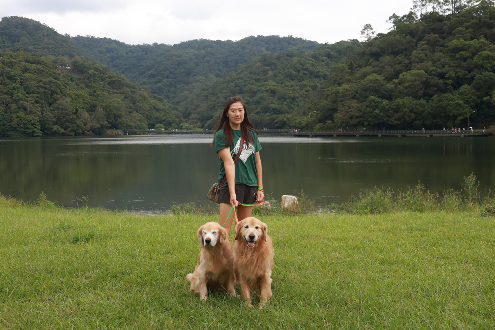 宜蘭礁溪咖啡廳推薦｜Herbelle Tea 湖畔茶屋。龍潭湖玻璃屋湖景第一排，寵物友善可帶毛小孩