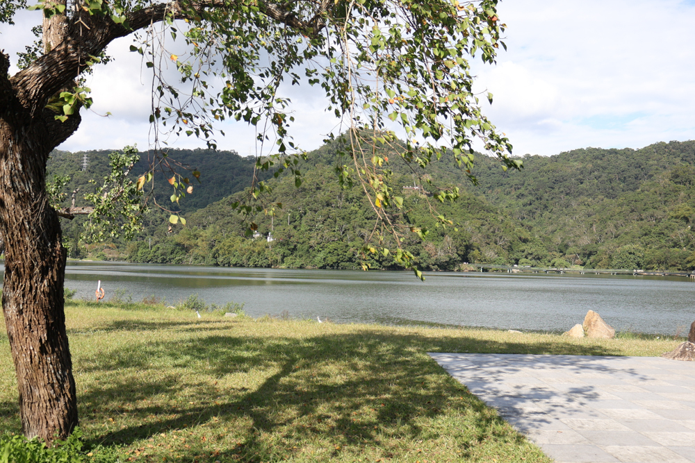 宜蘭礁溪咖啡廳推薦｜Herbelle Tea 湖畔茶屋。龍潭湖玻璃屋湖景第一排，寵物友善可帶毛小孩