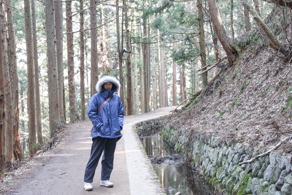 長野一日遊推薦｜美黛子滑雪團行程推薦。雪猴泡溫泉太療癒＋善光寺散策＋蘋果甜點必吃＋清酒體驗