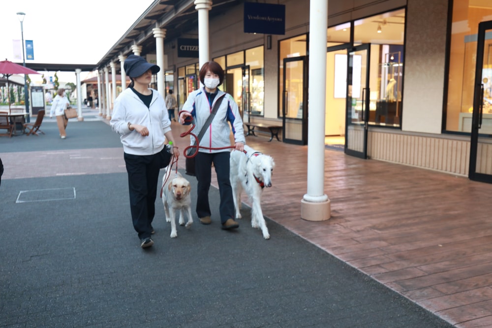 東京OUTLET推薦｜酒酒井OUTLET必逛攻略！成田機場15分鐘＋交通/品牌/寵物購物一次看（SHISUI PREMIUM OUTLETS）
