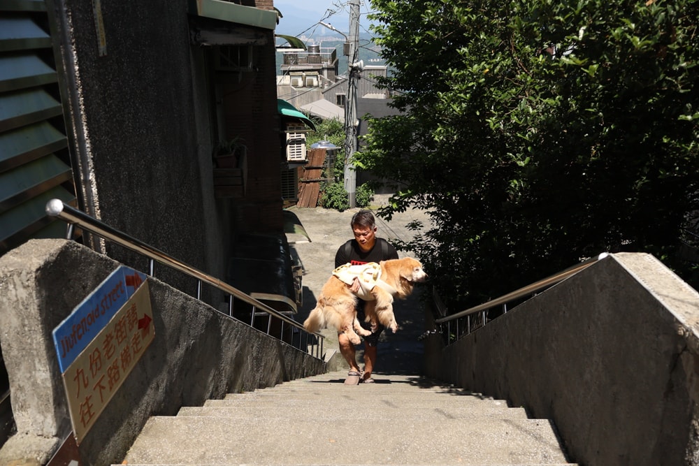 九份民宿推薦|暮石民宿。九份老街步行30秒、寵物友善住宿、山城老屋包棟民宿、2-5人包棟 - 第8張圖 九份民宿推薦|暮石民宿。九份老街步行30秒、寵物友善住宿、山城老屋包棟民宿、2-5人包棟