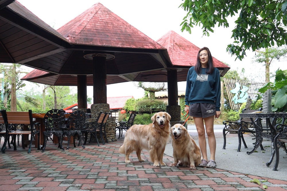 宜蘭冬山山林系住宿推薦｜香格里拉休閒農場。蘭陽平原美景＋天空鞦韆＋寵物友善一泊二食